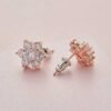 trendy-zircon-earring-trendy-earring-138416-32734605082780
